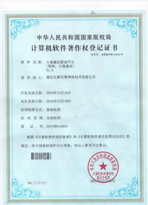 湖北大唐至尊网络技术 解放号平台上的专业网络技术服务商档案