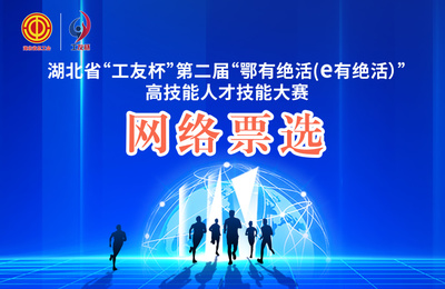 第二届“鄂有绝活”大赛网络票选圆满收官，湖北网络技术服务再展新姿