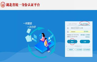 湖北政务服务网卫生行政许可在线申请操作指南